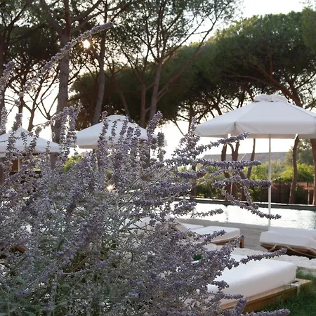 Boutique Responsable Et Restaurant Basgi Basgi