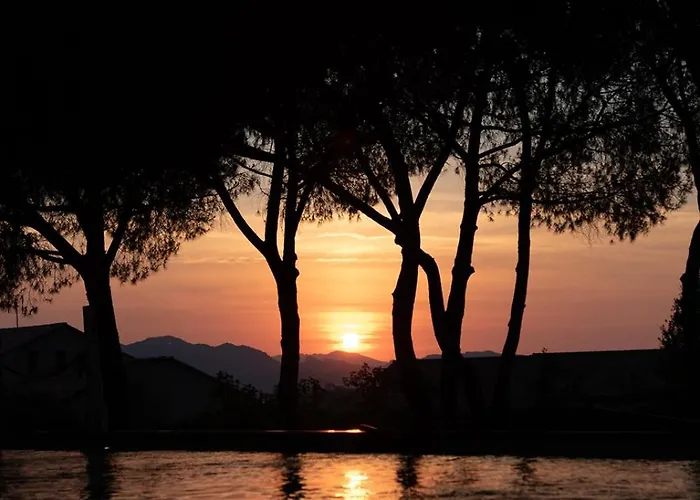 Boutique Responsable Et Restaurant Basgi Basgi 4* Saint-Florent (Corsica)